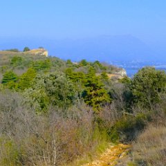 P1180809   Punta Sasso.